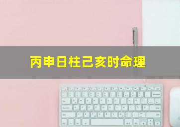 丙申日柱己亥时命理