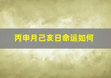 丙申月己亥日命运如何