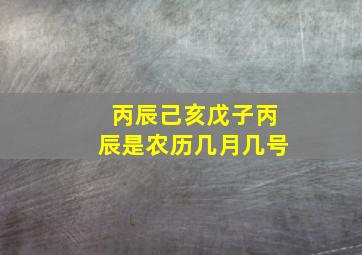 丙辰己亥戊子丙辰是农历几月几号