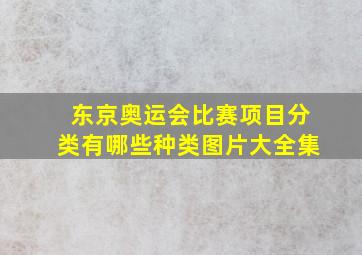 东京奥运会比赛项目分类有哪些种类图片大全集