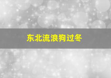 东北流浪狗过冬