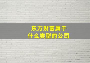 东方财富属于什么类型的公司