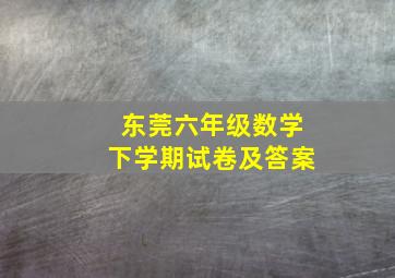 东莞六年级数学下学期试卷及答案