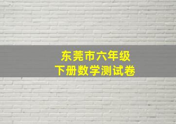 东莞市六年级下册数学测试卷