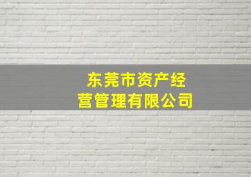 东莞市资产经营管理有限公司