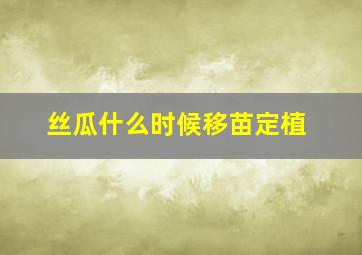 丝瓜什么时候移苗定植