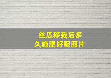 丝瓜移栽后多久施肥好呢图片