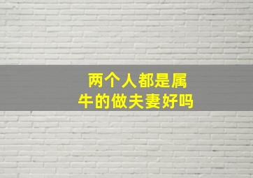 两个人都是属牛的做夫妻好吗