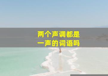 两个声调都是一声的词语吗