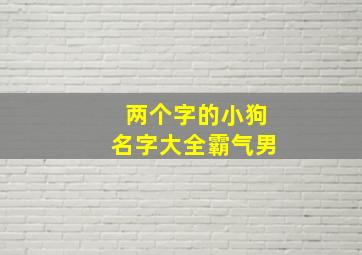 两个字的小狗名字大全霸气男