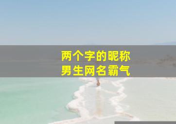 两个字的昵称男生网名霸气