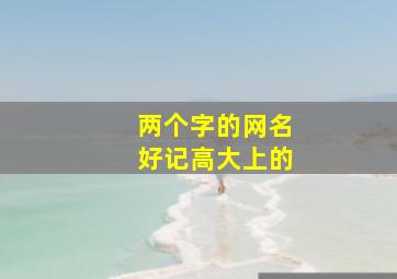 两个字的网名好记高大上的