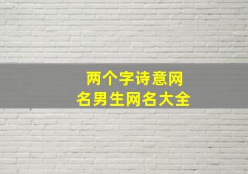 两个字诗意网名男生网名大全