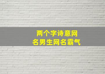 两个字诗意网名男生网名霸气