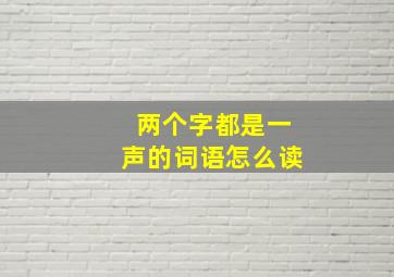 两个字都是一声的词语怎么读