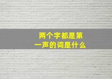 两个字都是第一声的词是什么