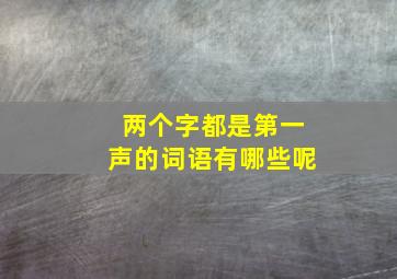 两个字都是第一声的词语有哪些呢