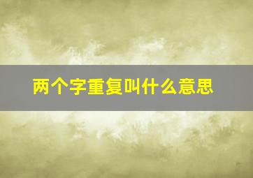 两个字重复叫什么意思