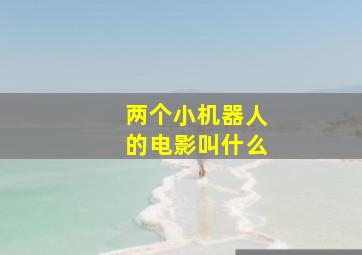 两个小机器人的电影叫什么