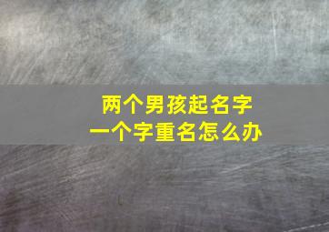 两个男孩起名字一个字重名怎么办