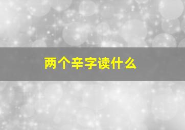 两个辛字读什么