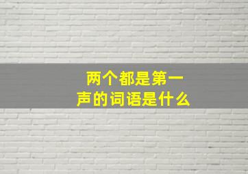 两个都是第一声的词语是什么