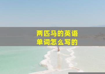 两匹马的英语单词怎么写的