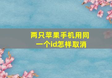 两只苹果手机用同一个id怎样取消