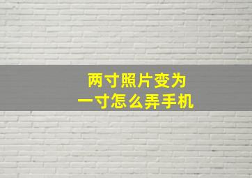 两寸照片变为一寸怎么弄手机