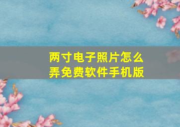 两寸电子照片怎么弄免费软件手机版