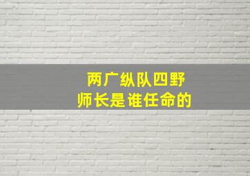 两广纵队四野师长是谁任命的