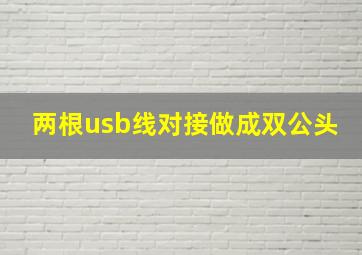 两根usb线对接做成双公头