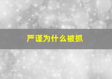 严谨为什么被抓