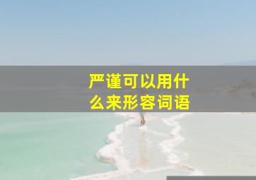 严谨可以用什么来形容词语