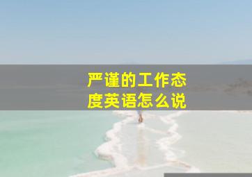 严谨的工作态度英语怎么说