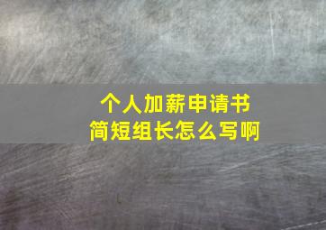 个人加薪申请书简短组长怎么写啊