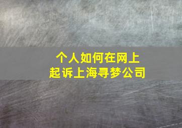 个人如何在网上起诉上海寻梦公司