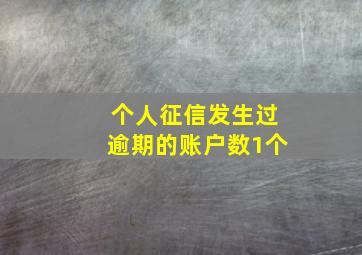 个人征信发生过逾期的账户数1个