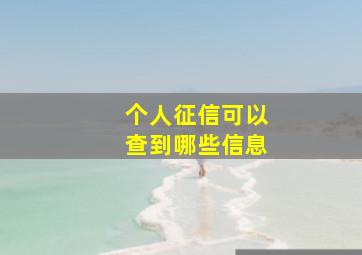 个人征信可以查到哪些信息