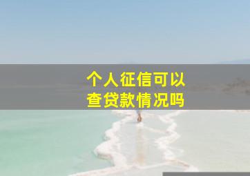 个人征信可以查贷款情况吗