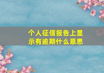 个人征信报告上显示有逾期什么意思