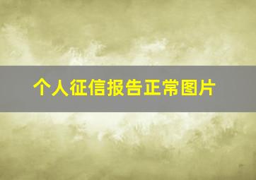 个人征信报告正常图片