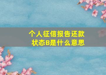 个人征信报告还款状态B是什么意思