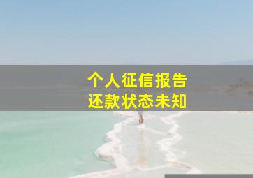 个人征信报告还款状态未知