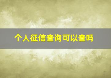 个人征信查询可以查吗