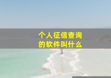 个人征信查询的软件叫什么