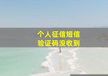 个人征信短信验证码没收到