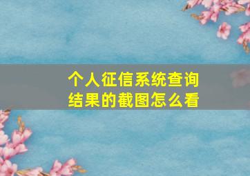 个人征信系统查询结果的截图怎么看