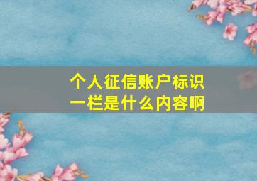 个人征信账户标识一栏是什么内容啊