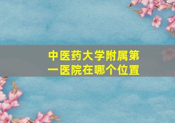 中医药大学附属第一医院在哪个位置